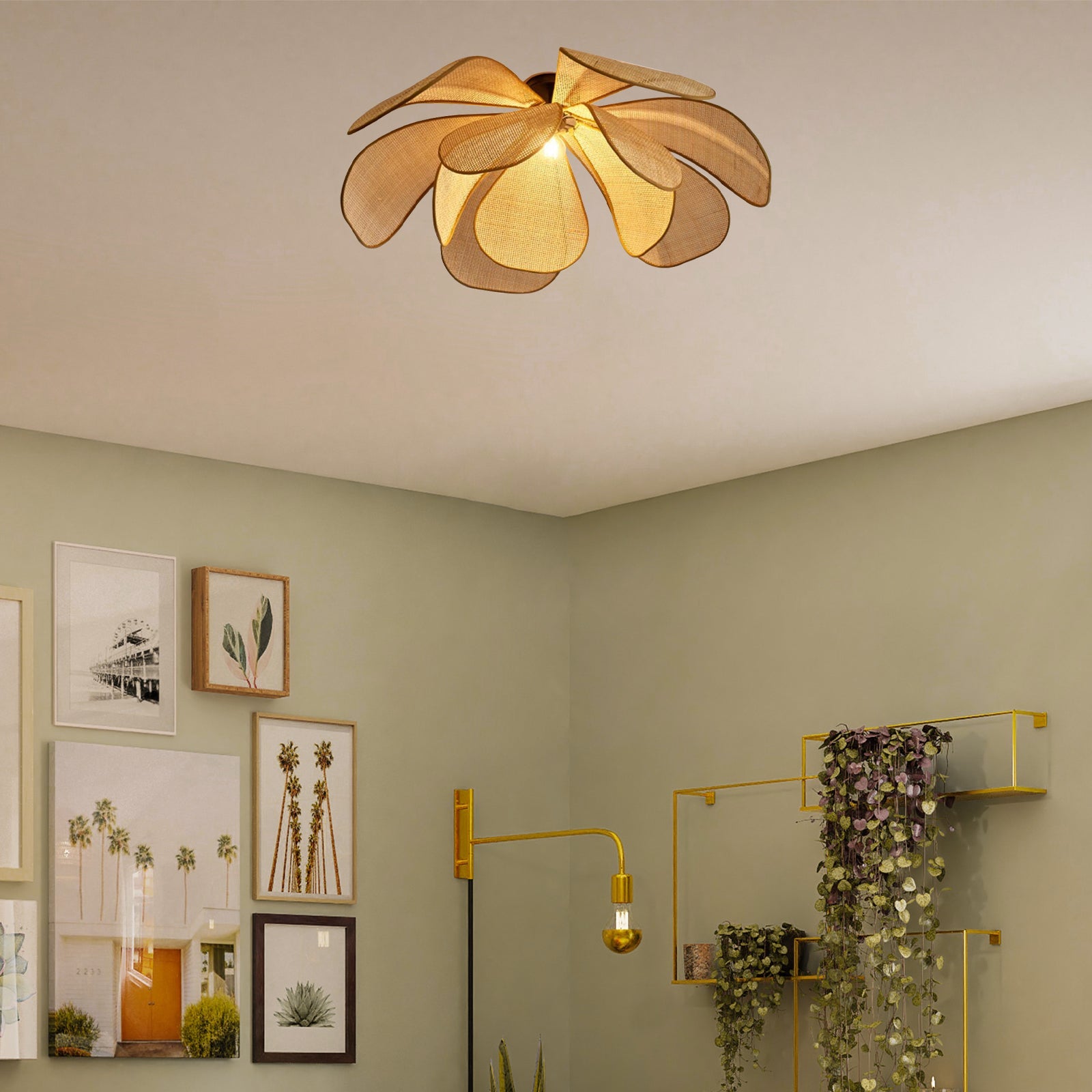 Volo Decor product image